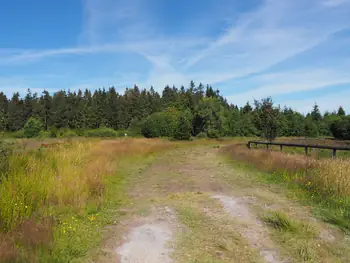 Signal de Botrange (Belgium)